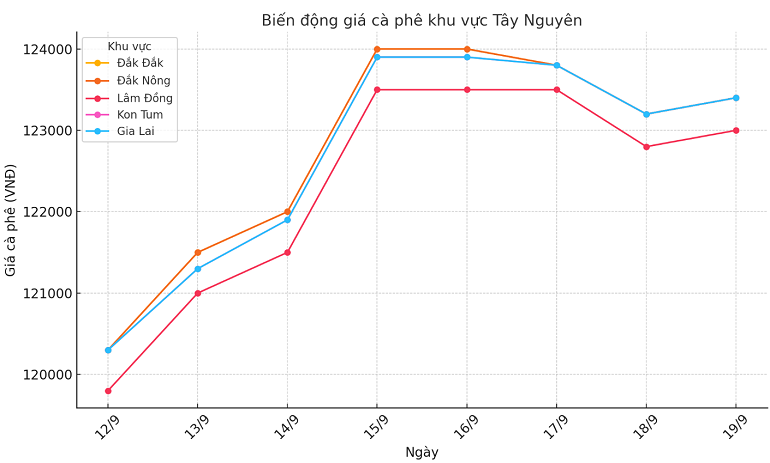 Biểu đồ giá cà phê ngày 19.9.2024