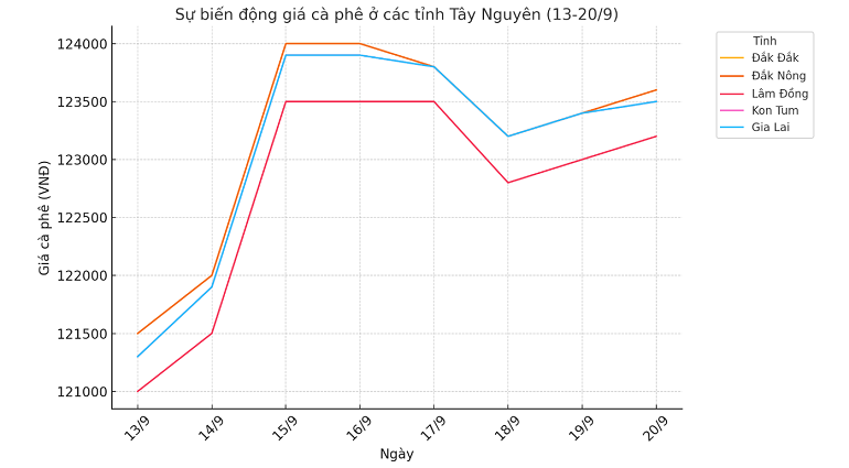 Biểu đồ giá cà phê ngày 20.9.2024