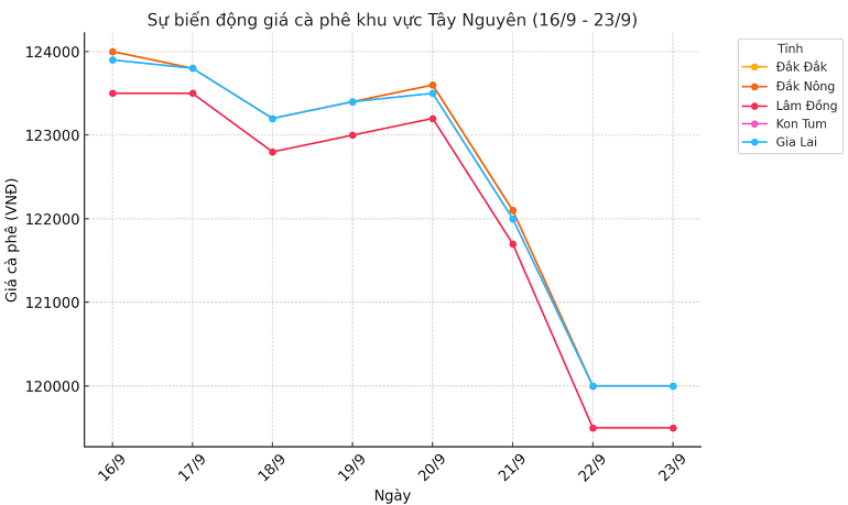 Biểu đồ giá cà phê ngày 21.9.2024