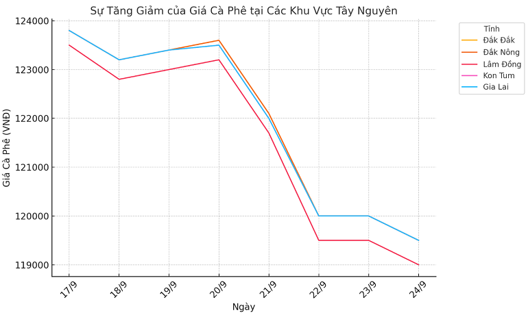 Biểu đồ giá cà phê ngày 24.9.2024