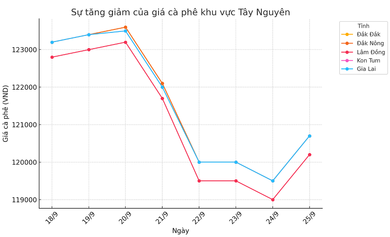 Biểu đồ giá cà phê ngày 25.9.2024