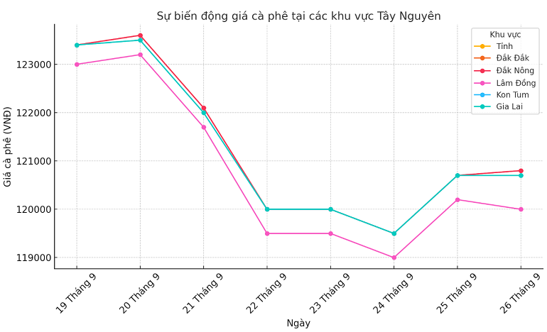 Biểu đồ giá cà phê ngày 26.9.2024