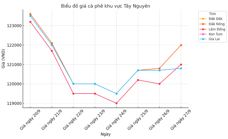 Biểu đồ giá cà phê ngày 27.9.2024