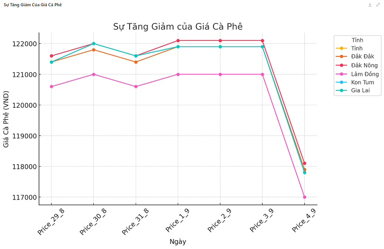 Biểu đồ giá cà phê ngày 4.9.2024