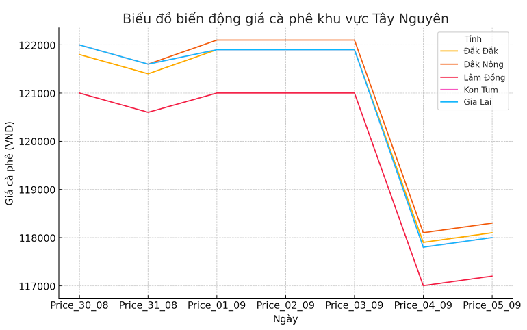 Biểu đồ giá cà phê ngày 5.9.2024