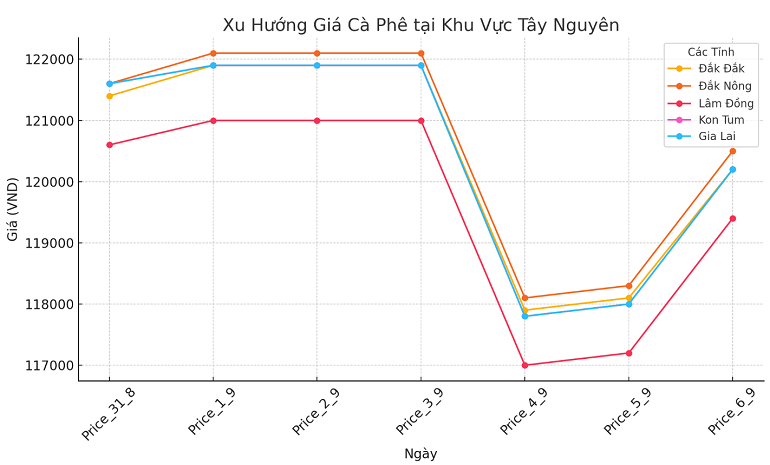 Biểu đồ giá cà phê ngày 6.9.2024