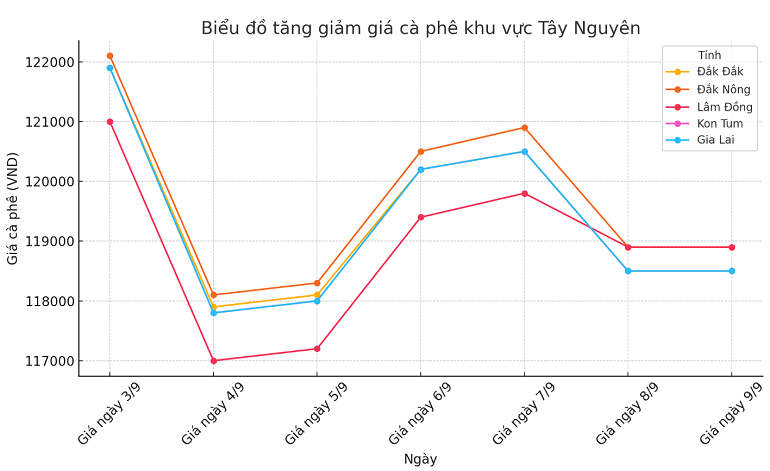 Biểu đồ giá cà phê ngày 9.9.2024