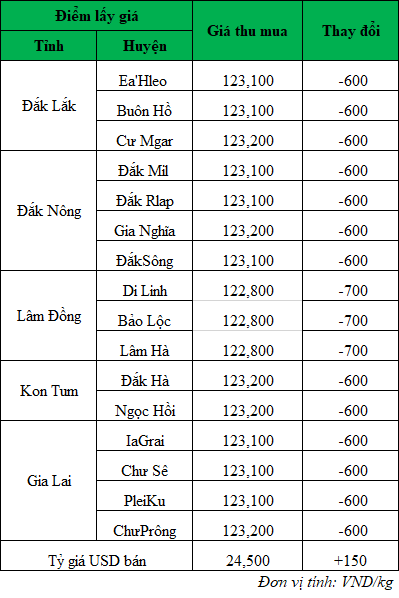 Giá cà phê hôm nay ngày 18/9/2024