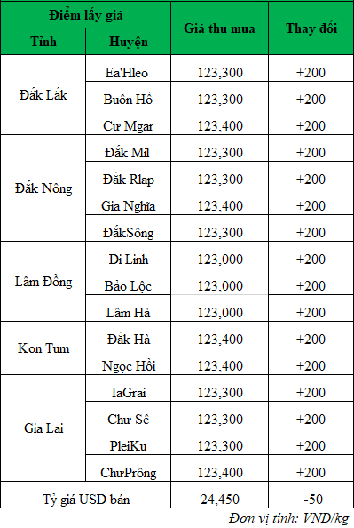 Giá cà phê hôm nay ngày 19/9/2024