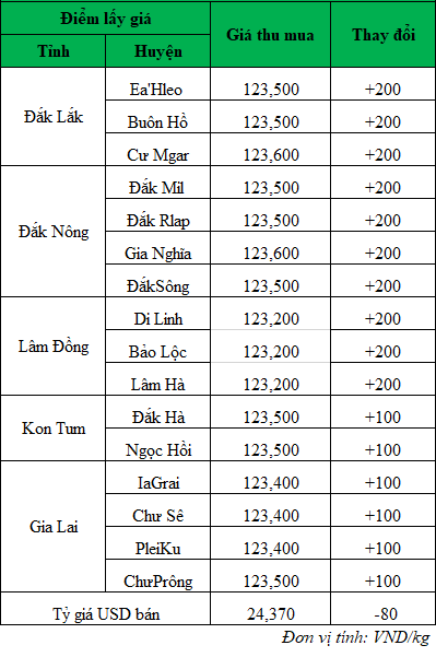 Giá cà phê hôm nay, giá cà phê trong nước mới nhất