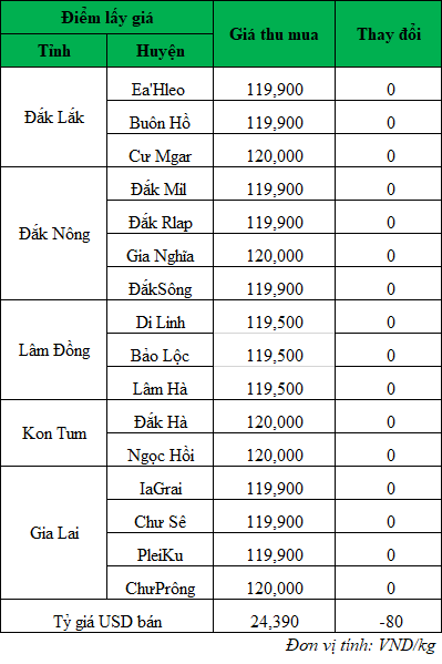 Giá cà phê hôm nay, giá cà phê trong nước mới nhất