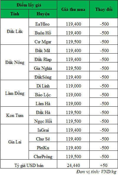 Giá cà phê hôm nay, giá cà phê mới nhất ngày 24/9/2024