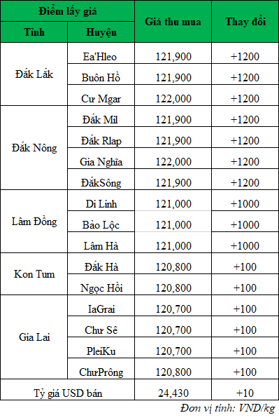 Giá cà phê hôm nay tại thị trường trong nước