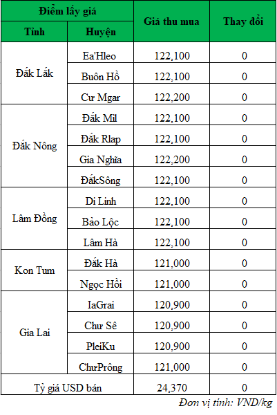 Giá cà phê hôm nay ngày 30/9/2024