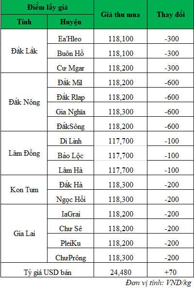 Giá cà phê hôm nay cập nhật mới nhất