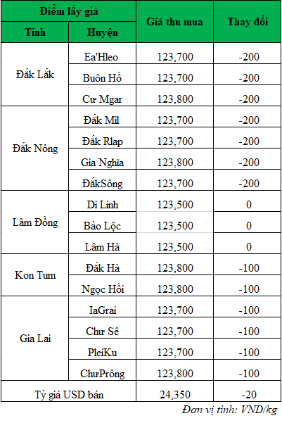 Giá cà phê hôm nay ngày 17/9/2024