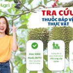 tra-cuu-thuoc-bvtv