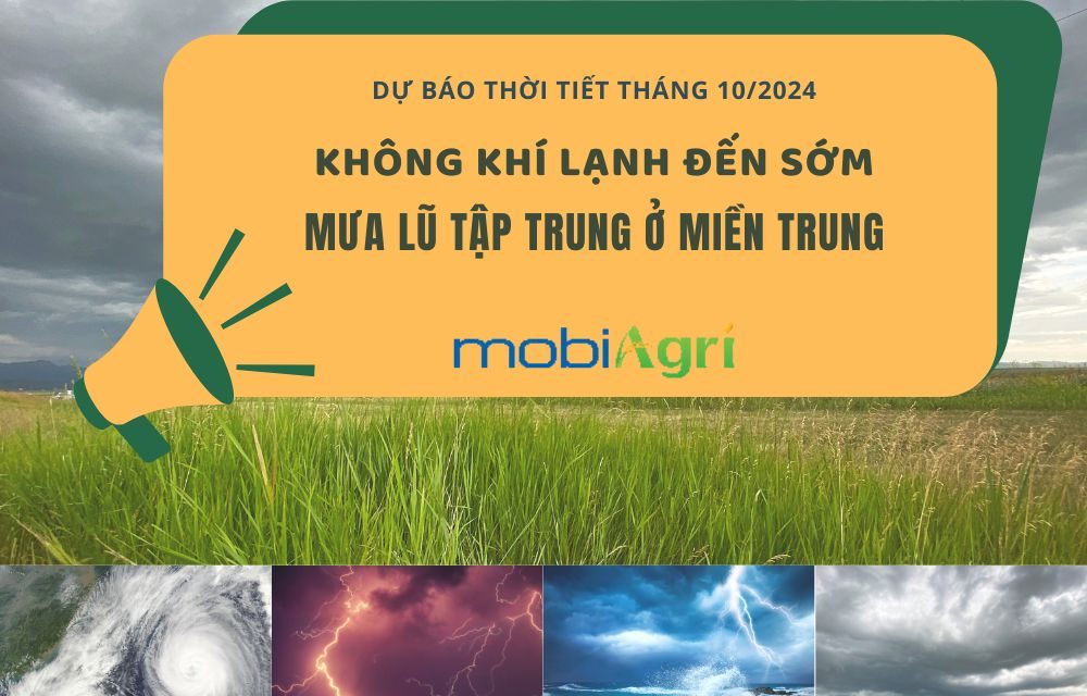 thoi-tiet-thang-10-nam-2024-4