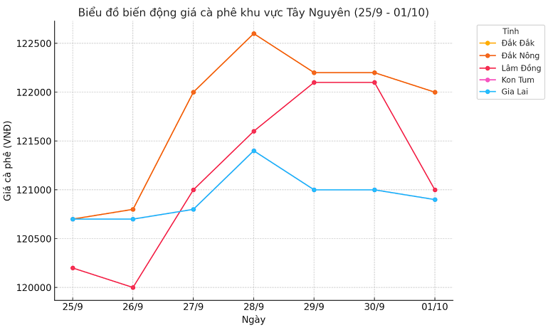 Biểu đồ giá cà phê ngày 2.10.2024