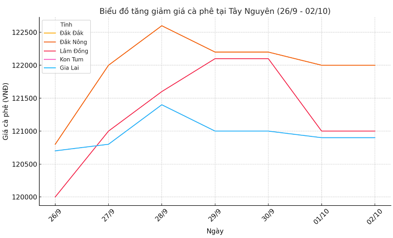 Biểu đồ giá cà phê ngày 3.10.2024