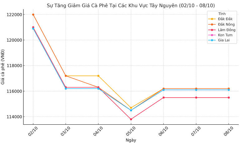 Biểu đồ giá cà phê ngày 8.10.2024