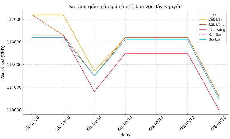 Biểu đồ giá cà phê ngày 9.10.2024