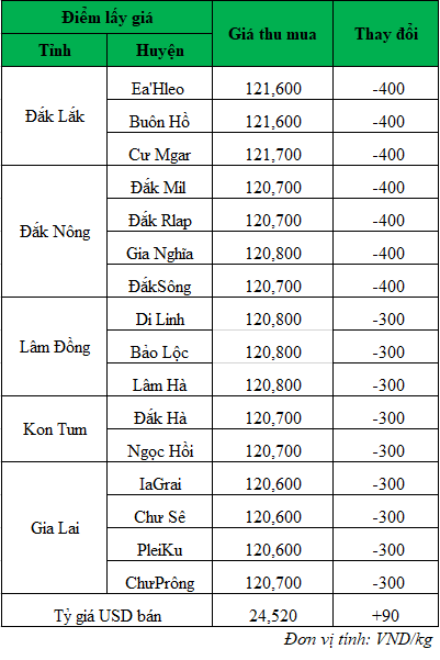 Giá cà phê hôm nay tị thị trường trong nước