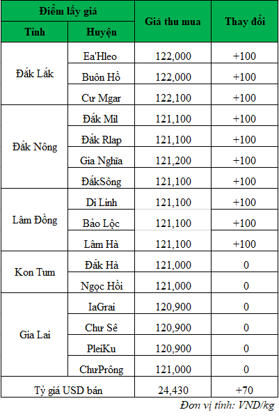 Giá cà phê mới nhất tại khu vực Tây Nguyên ngày 2/10/2024