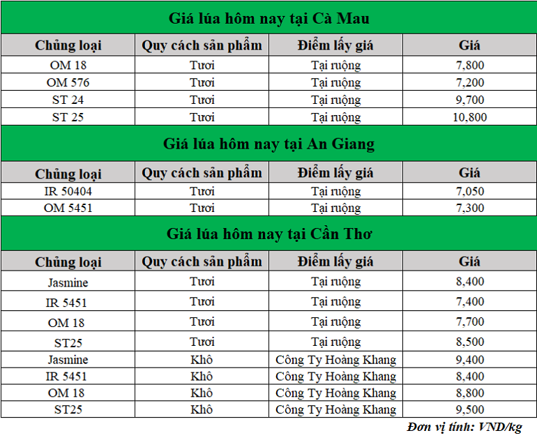 Gia lua hom nay 10.10.2024