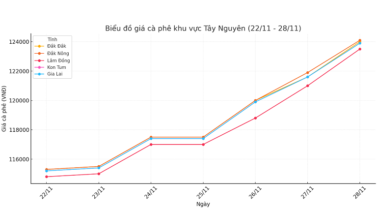 Bieu-do-gia-ca-phe-28.11.2024