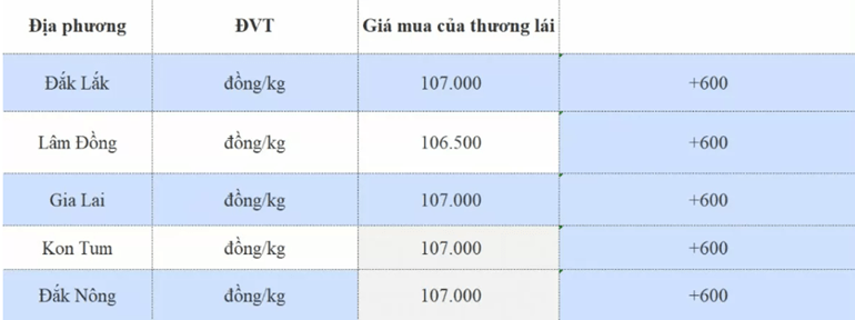 Giá cà phê hôm nay tại thị trường trong nước