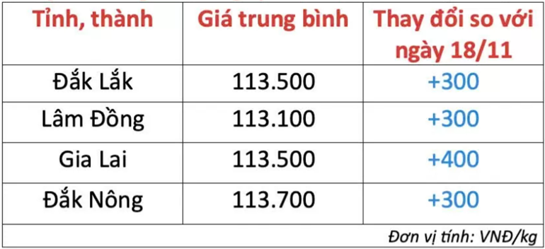 Giá cà phê ngày 19/11/2024