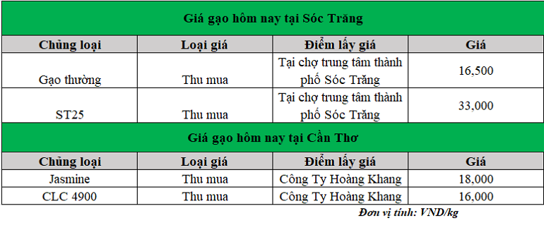 Gia-gao-hom-nay-11.11.2024