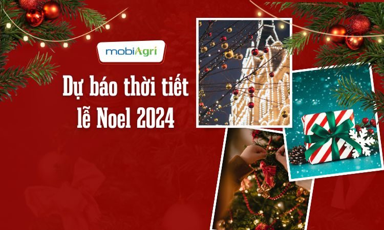 Du-bao-thoi-tiet-noel