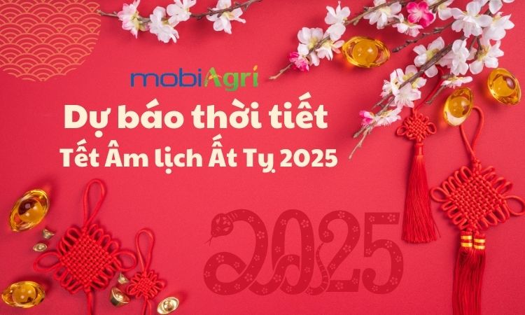 thoi-tiet-tet-am-lich-2025 (1)