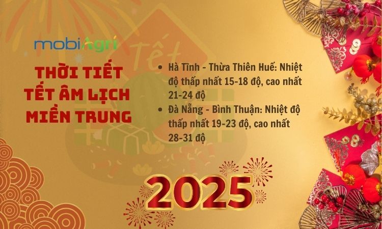  thoi-tiet-tet-am-lich-2025-2