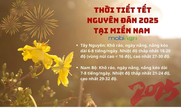 thoi-tiet-tet-am-lich-2025-3