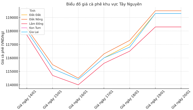 Bieu-do-gia-ca-phe-20.1