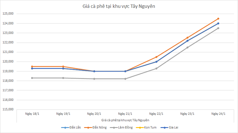 Bieu-do-gia-ca-phe-ngay-24-1-2025