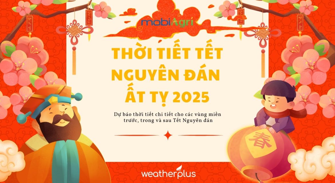 Thoi-tiet-tet-nguyen-dan-2025-4