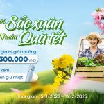 even-khoe-sac-xuan-khuan-qua-tet-2