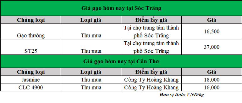 Gia-gao-hom-nay-ngay-24-2-2025