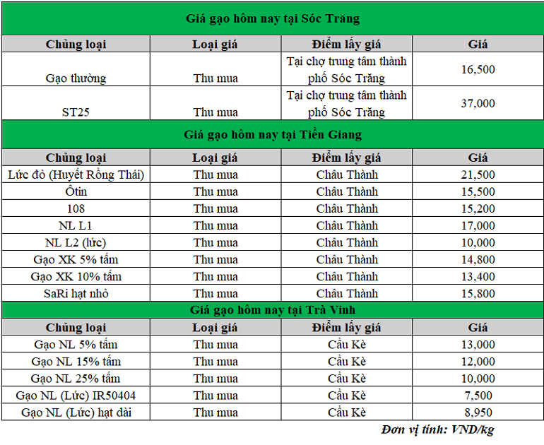 Gia-gao-hom-nay-ngay-26-2-2025