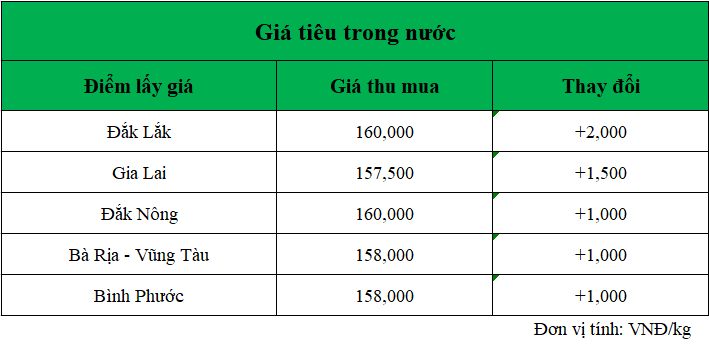 Gia-ho-tieu-hom-nay-trong-nuoc