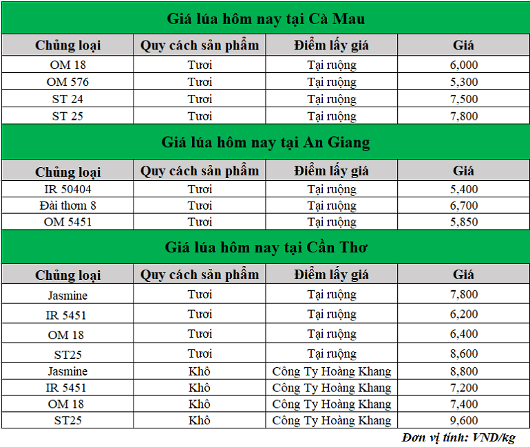 Gia-lua-hom-nay-ngay-20-2-2025