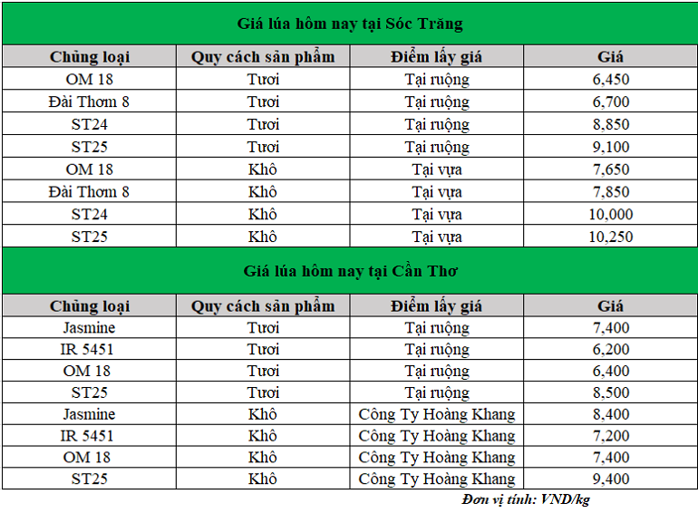 Gia-lua-hom-nay-ngay-24-2-2025