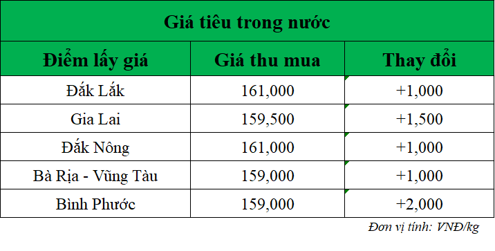 Gia-ho-tieu-hom-nay-trong-nuoc