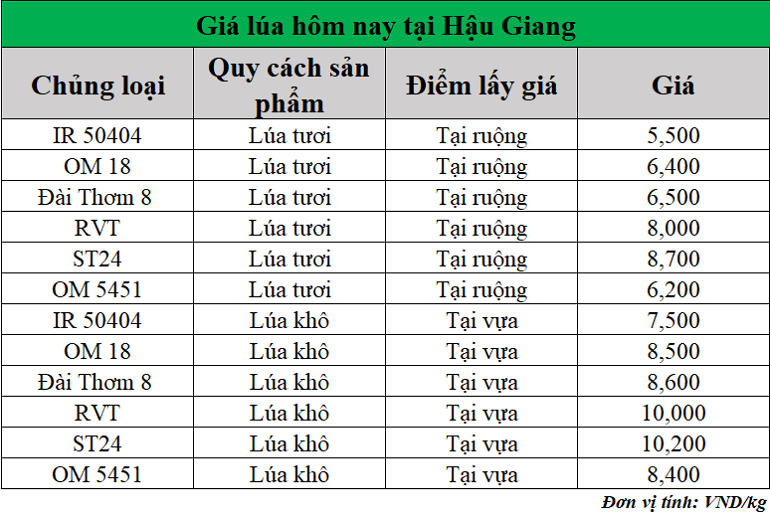 Gia-lua-hom-nay-ngay-18-3-2025