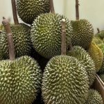Gia-sau-rieng-hom-nay-6-5-2025
