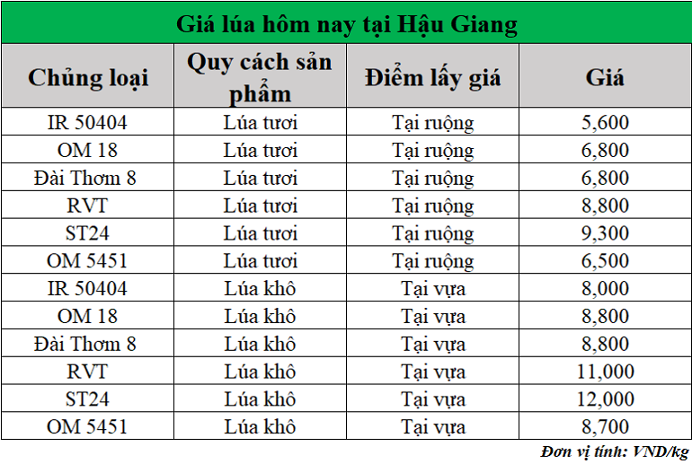 Gia-lua-hom-nay-ngay-8-4-2025